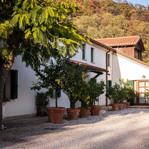 Azienda Agricola Colli Euganei Le Volpi Monte Fasolo30